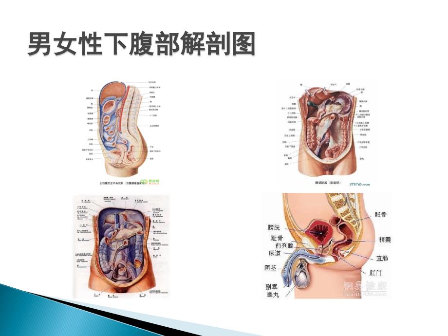 放射性肠炎-课件_第2页