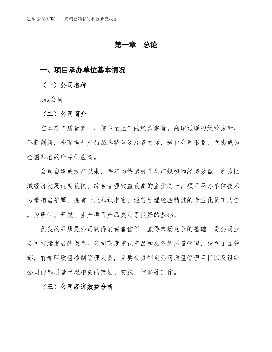 扁钢丝项目可行性研究报告_范文.docx_第3页