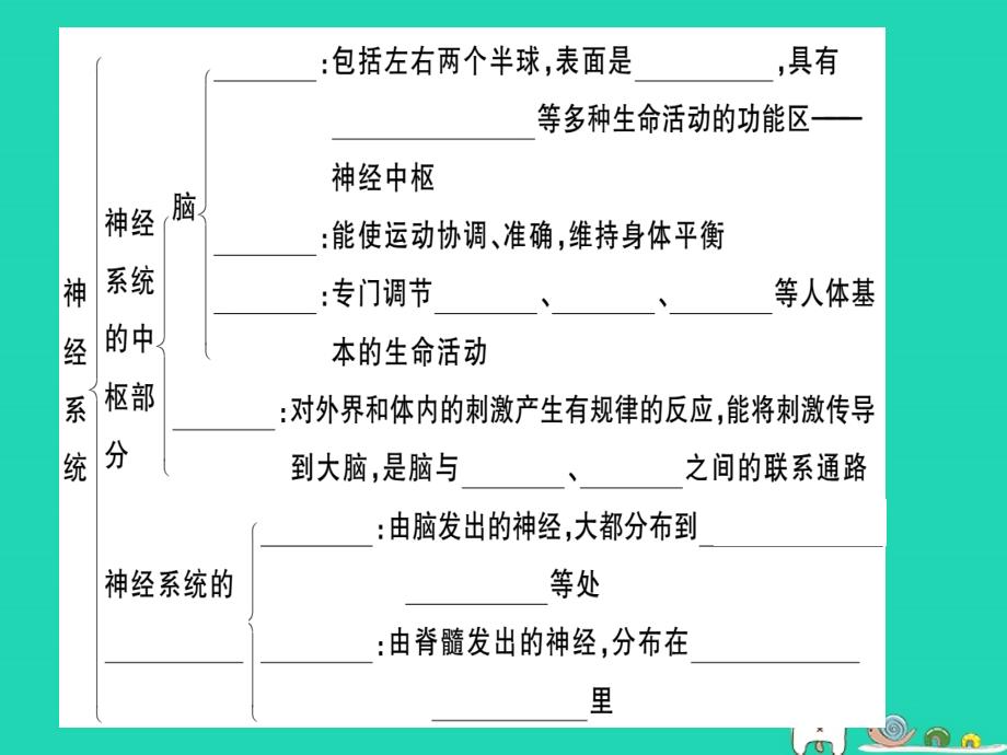 2019七年级生物下册 第四单元 第六章 第二节 神经系统的组成习题课件 （新版）新人教版_第2页