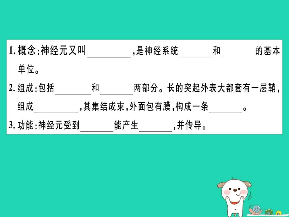 2019七年级生物下册 第四单元 第六章 第二节 神经系统的组成习题课件 （新版）新人教版_第3页