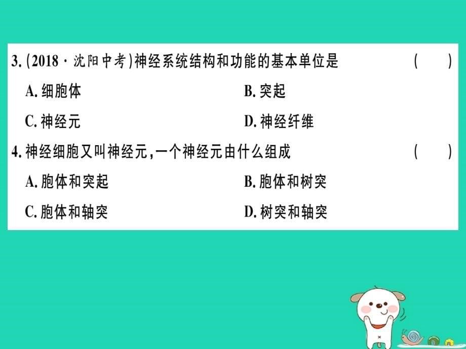 2019七年级生物下册 第四单元 第六章 第二节 神经系统的组成习题课件 （新版）新人教版_第5页