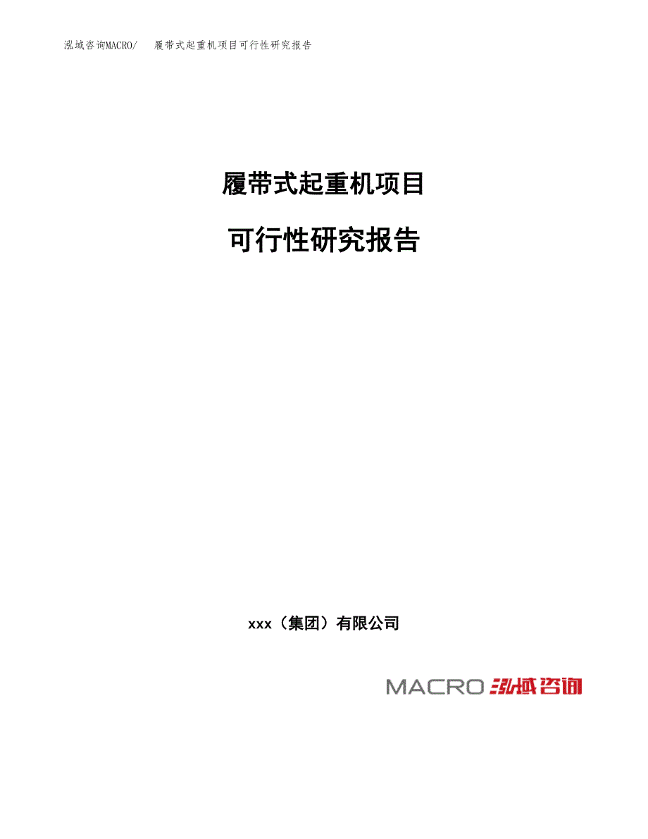 履带式起重机项目可行性研究报告_范文.docx_第1页