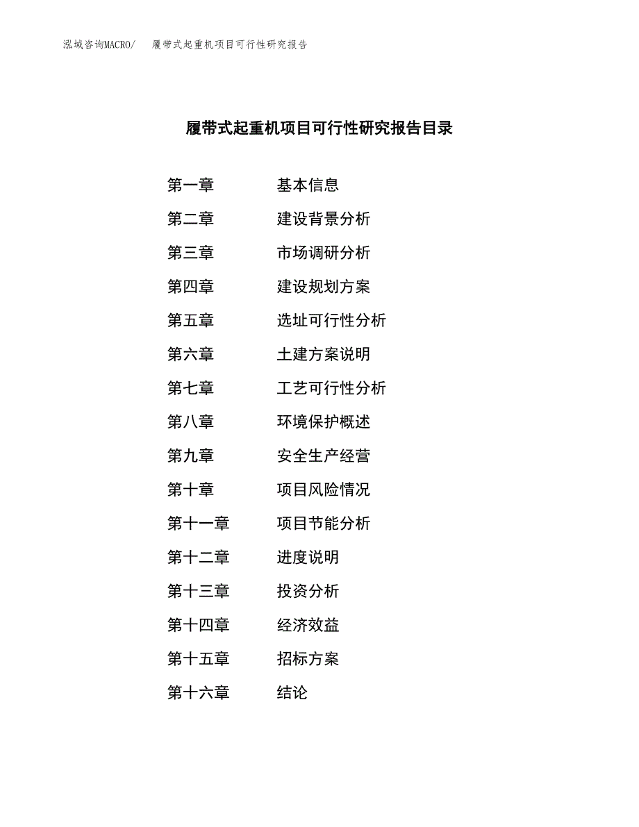 履带式起重机项目可行性研究报告_范文.docx_第2页