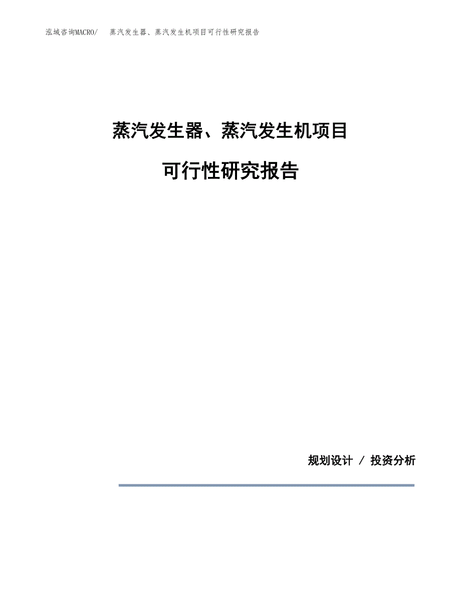 蒸汽发生器、蒸汽发生机项目可行性研究报告[参考范文].docx_第1页