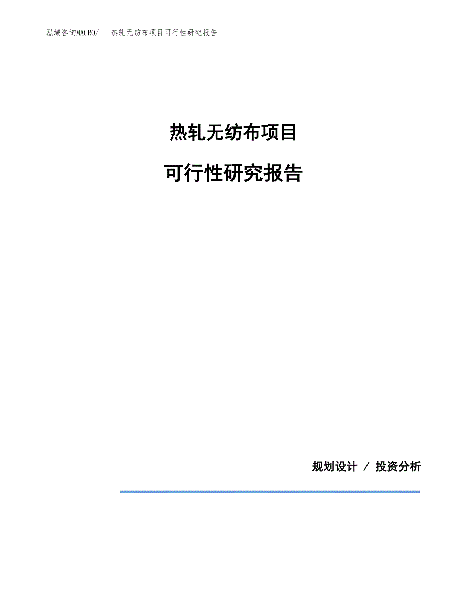 热轧无纺布项目可行性研究报告[参考范文].docx_第1页