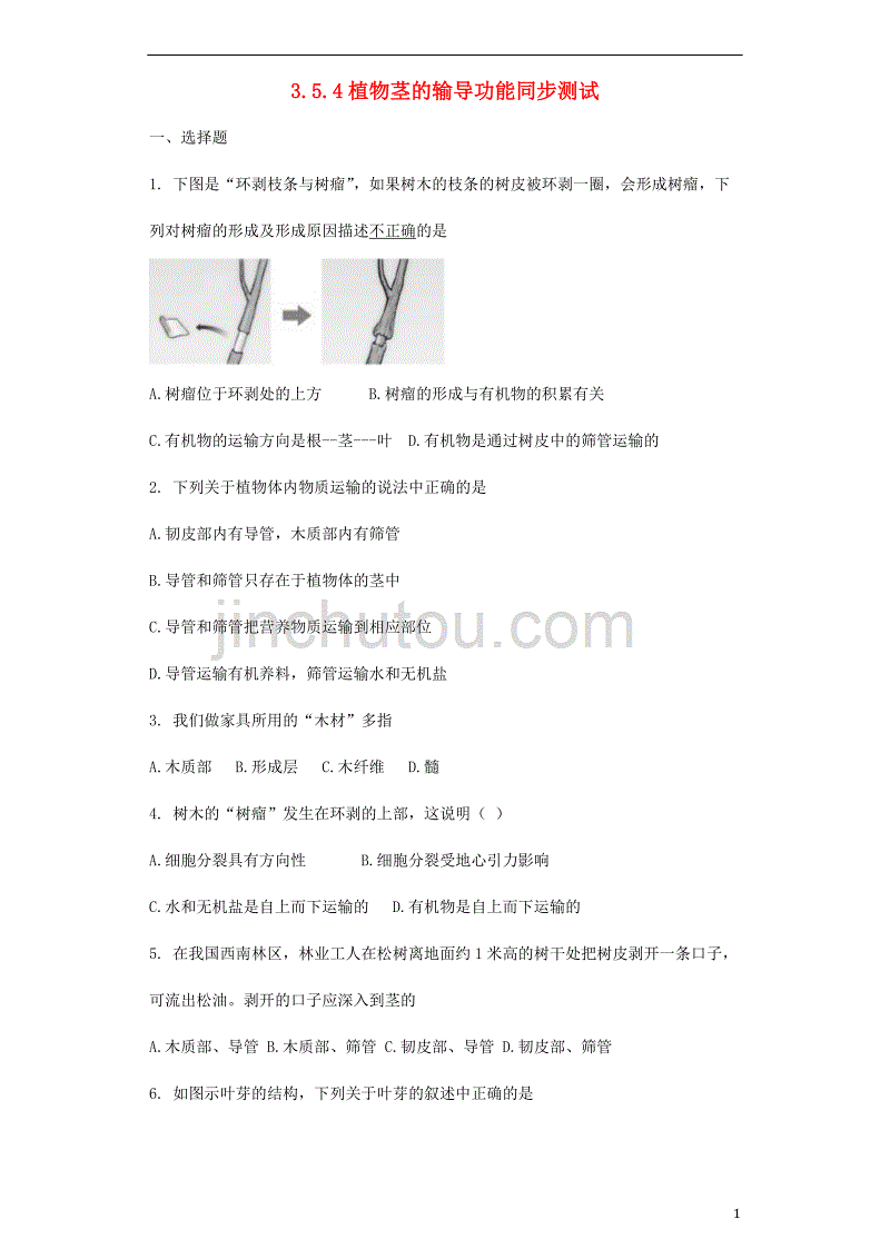 七年级生物上册 3.5.4植物茎的输导功能同步测试（无答案）（新版）苏教版_第1页