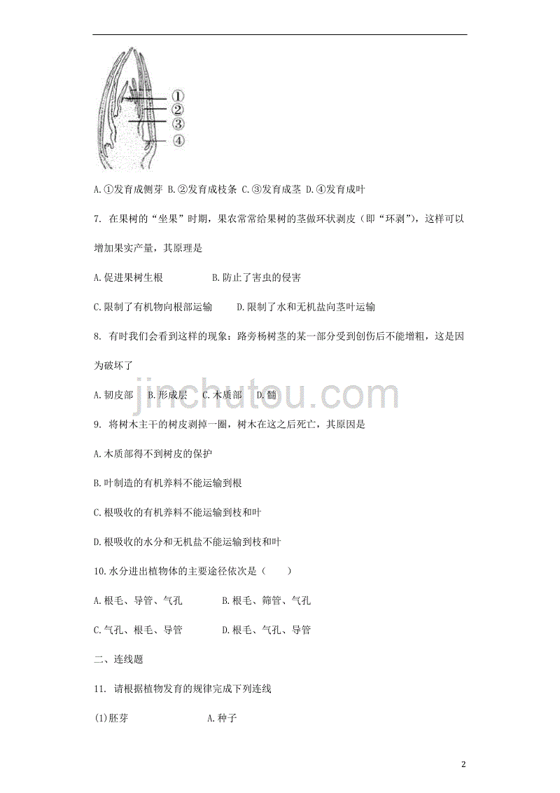 七年级生物上册 3.5.4植物茎的输导功能同步测试（无答案）（新版）苏教版_第2页