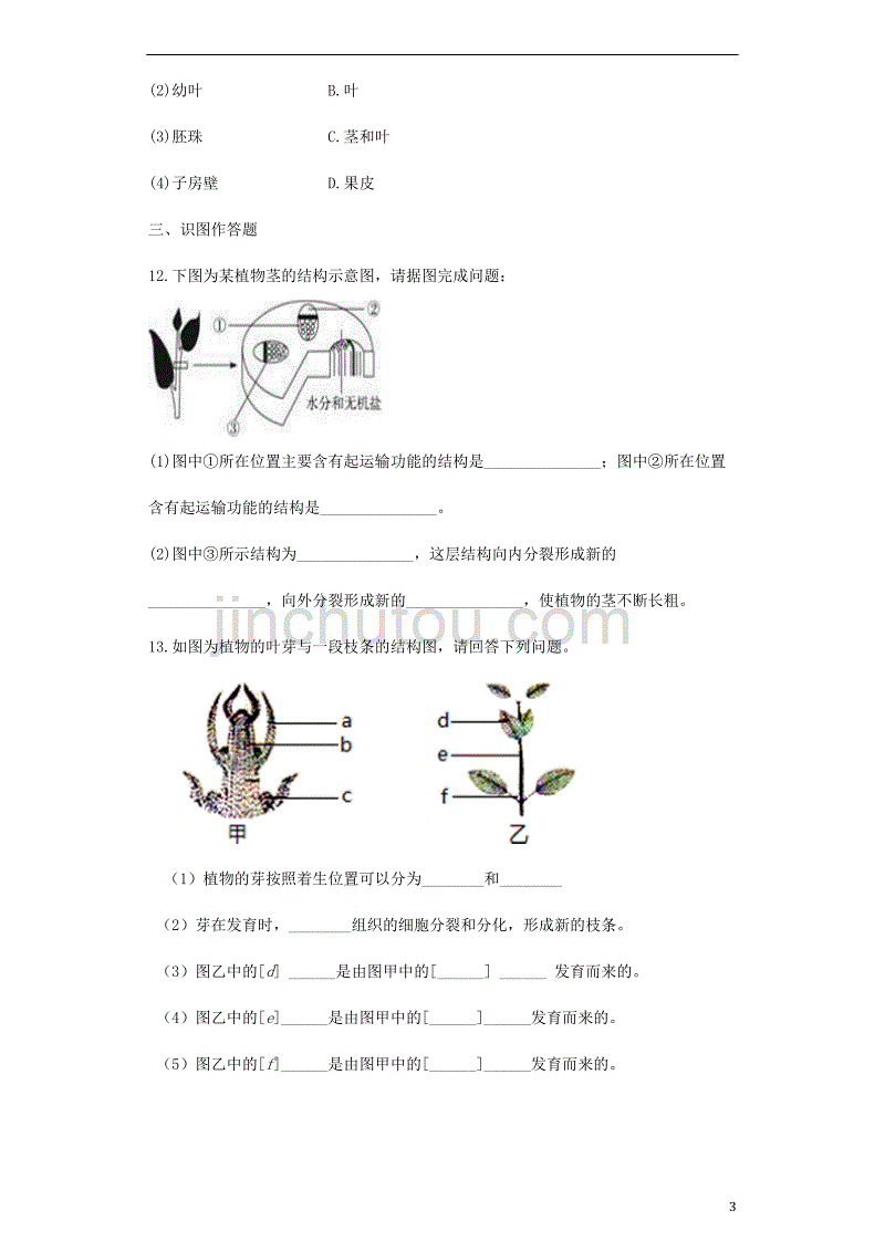 七年级生物上册 3.5.4植物茎的输导功能同步测试（无答案）（新版）苏教版_第3页