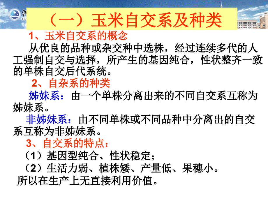 玉米杂交种子生产技术_第3页