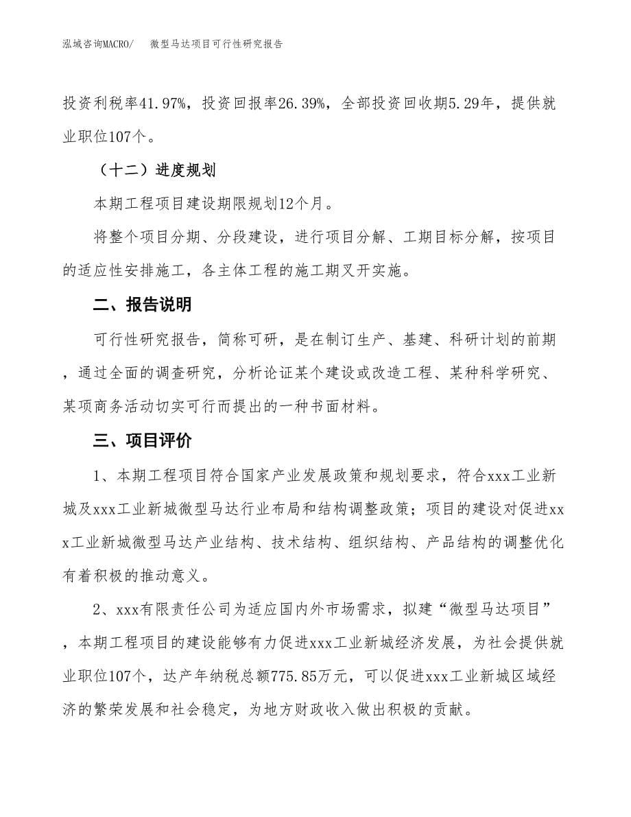 微型马达项目可行性研究报告[参考范文].docx_第5页