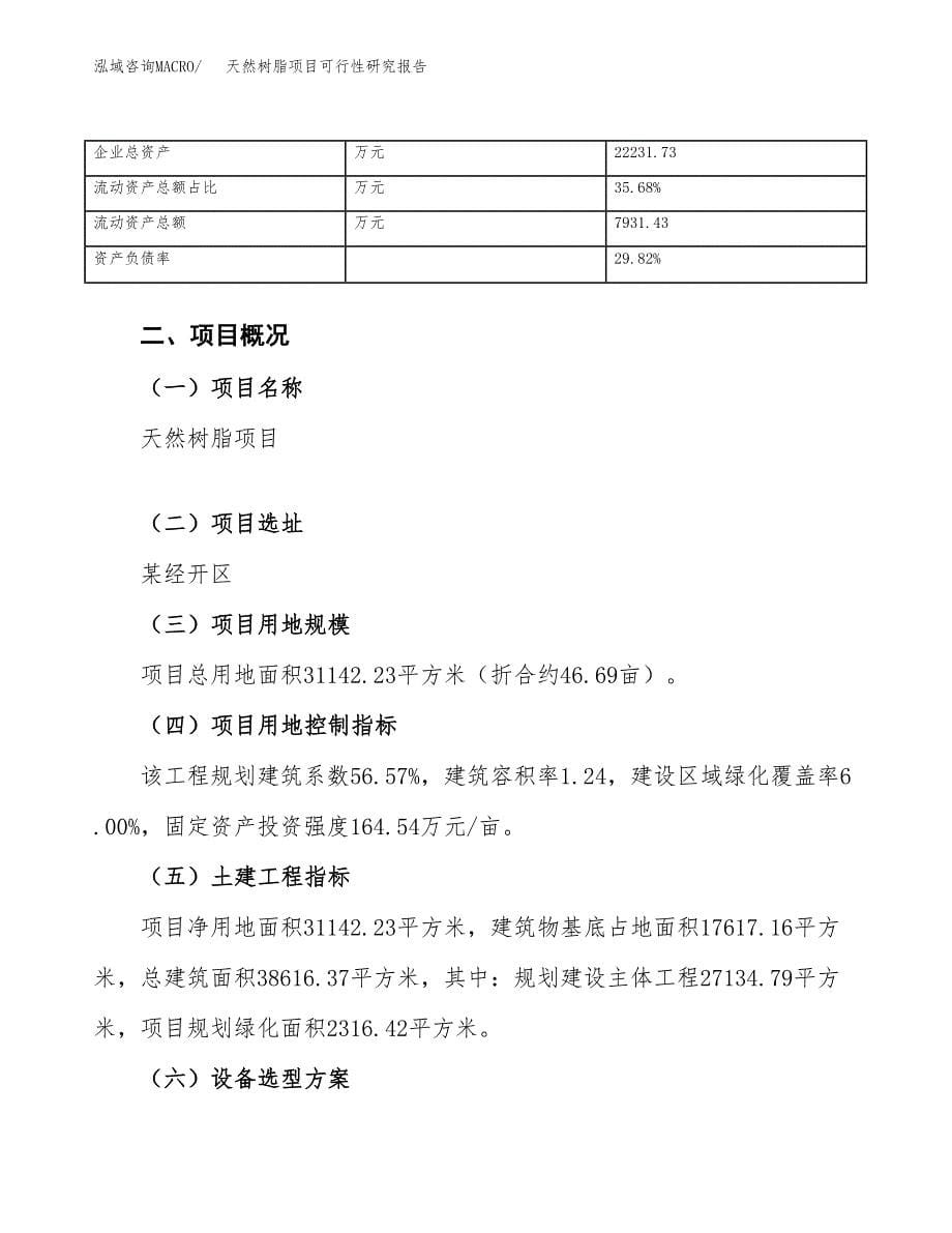 天然树脂项目可行性研究报告_范文.docx_第5页