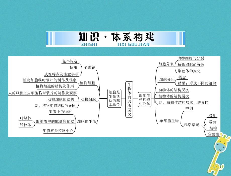 2018年中考生物 考点梳理 第一轮 第一章 第一讲 显微镜和细胞课件_第2页