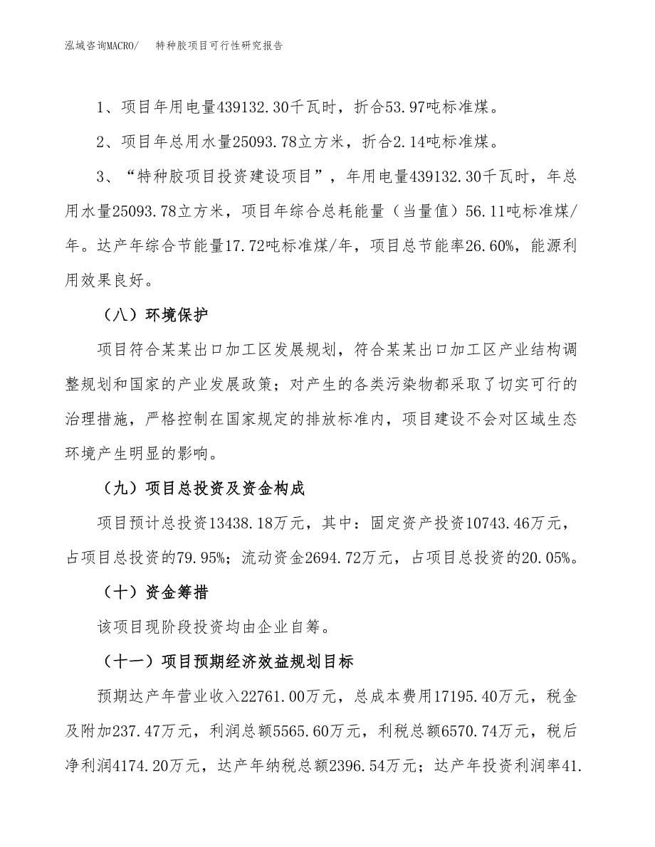 特种胶项目可行性研究报告[参考范文].docx_第5页