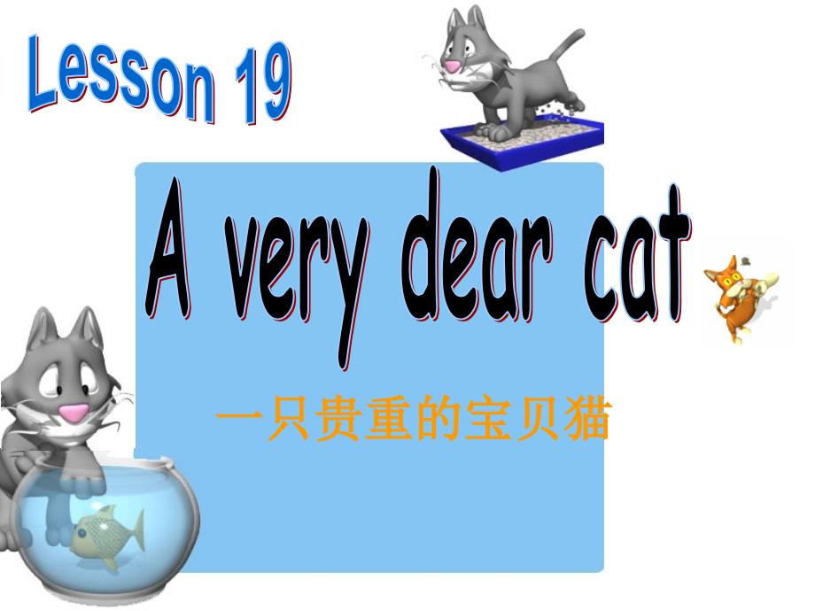 lesson 19 a very dear cat_第1页