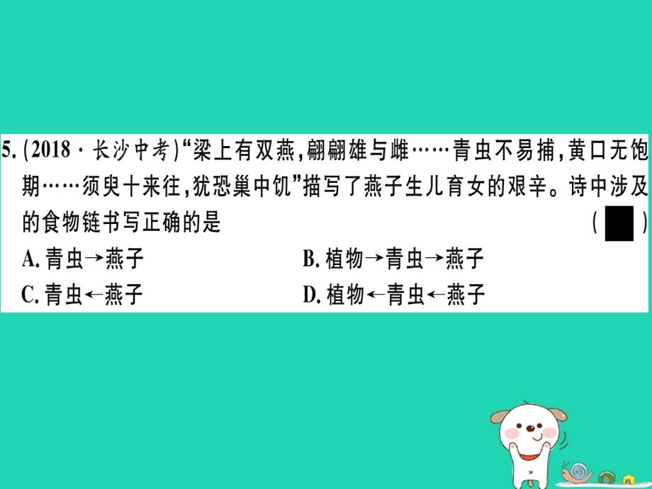 2019春八年级生物下册 第8单元 第23章 第3节 生态系统的结构和功能习题课件 （新版）北师大版_第4页