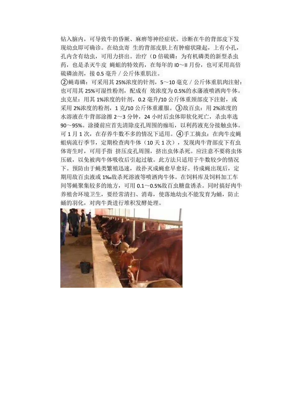 肉牛养殖需要预防哪些寄生虫病_第2页