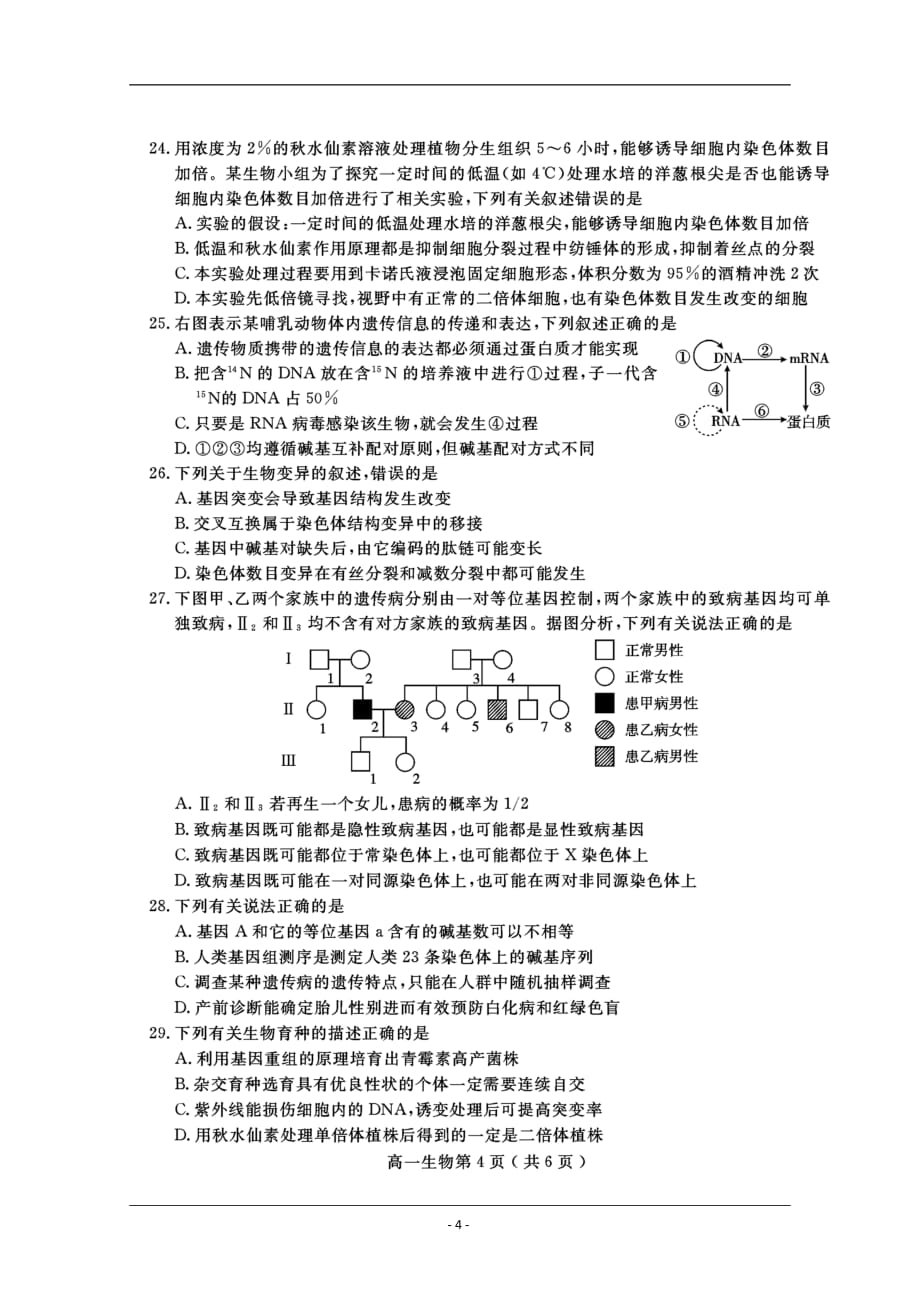 四川省乐山市高中2018-2019学年高一下学期期末教学质量检测生物试题 含答案_第4页