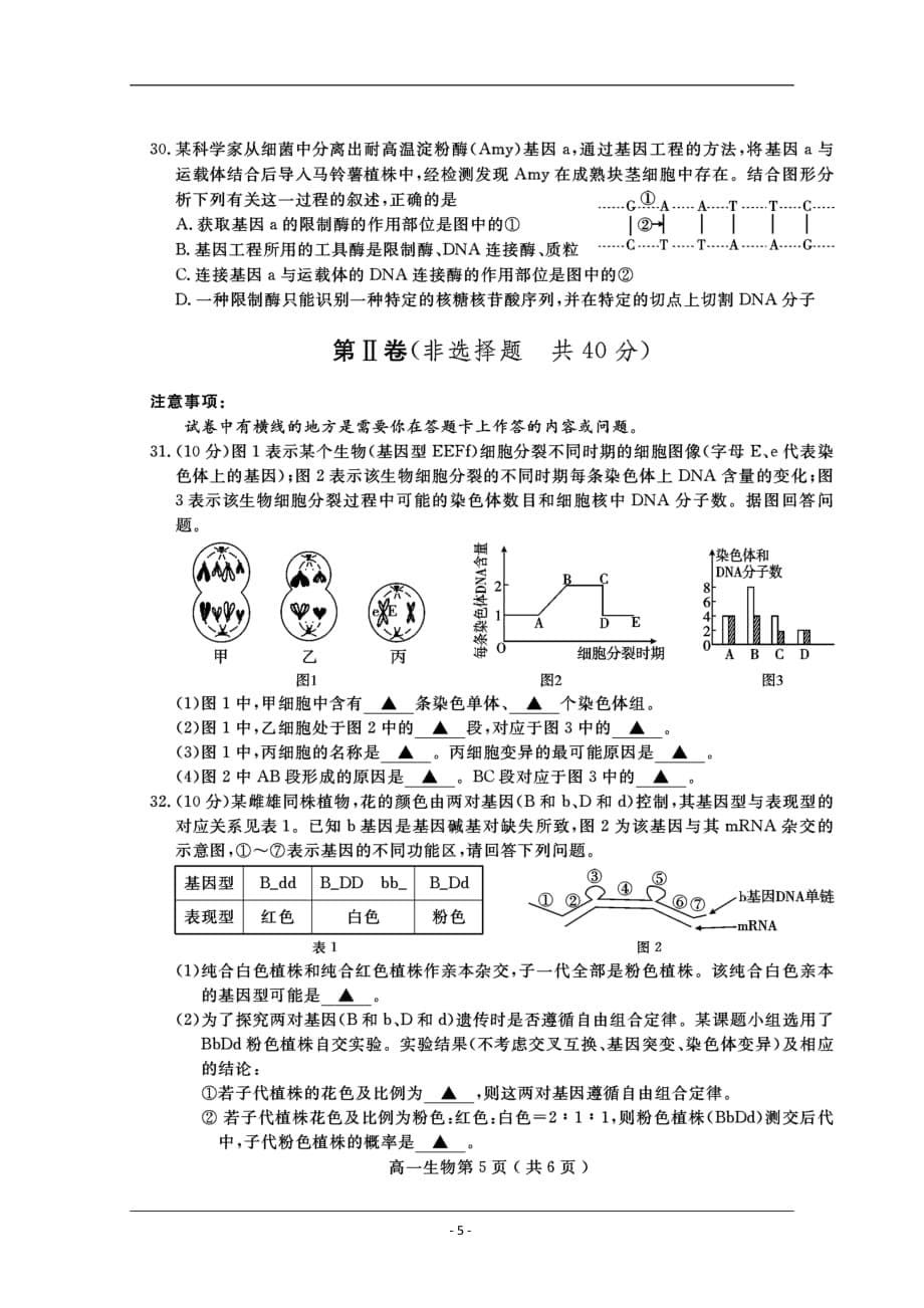 四川省乐山市高中2018-2019学年高一下学期期末教学质量检测生物试题 含答案_第5页