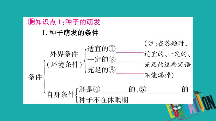 2018中考生物总复习 教材考点梳理 七上 第3单元 第2章 被子植物的一生课件 新人教版_第2页