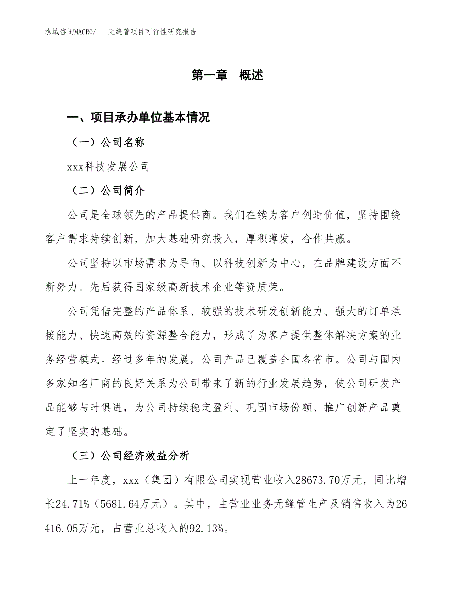 无缝管项目可行性研究报告_范文.docx_第3页