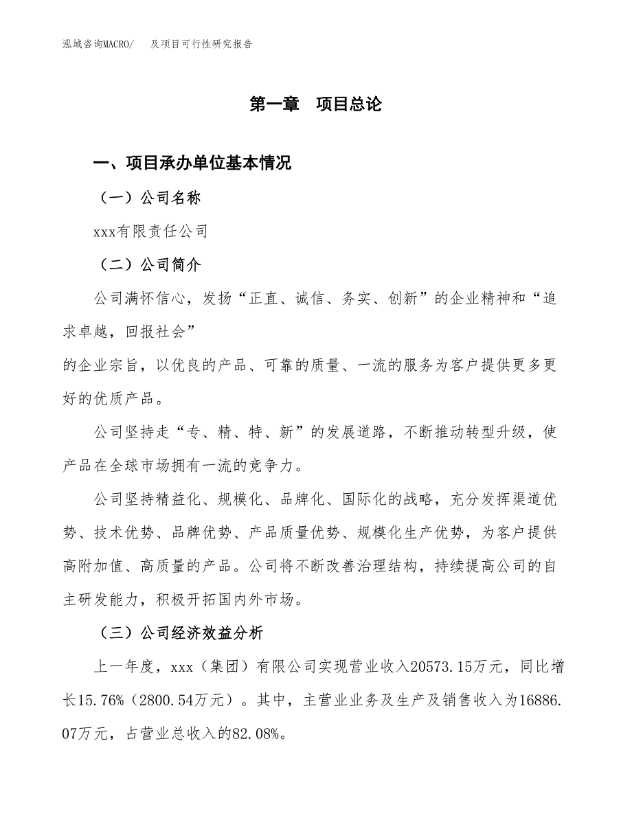 及项目可行性研究报告_范文.docx_第3页