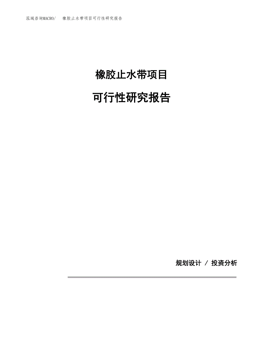 橡胶止水带项目可行性研究报告[参考范文].docx_第1页