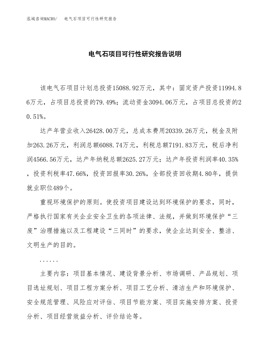 电气石项目可行性研究报告[参考范文].docx_第2页