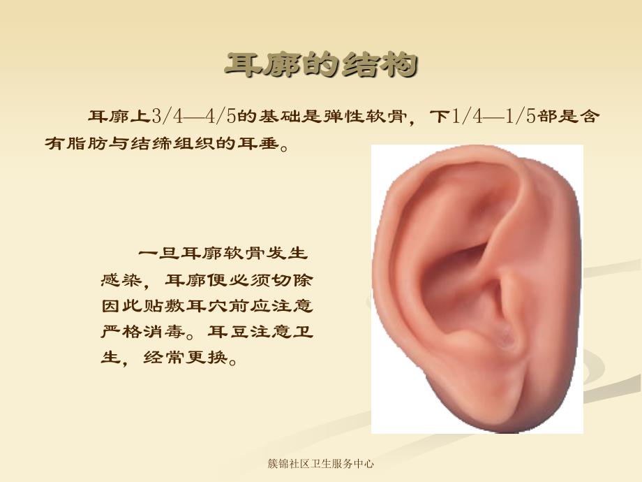 耳-压-疗-法_第3页