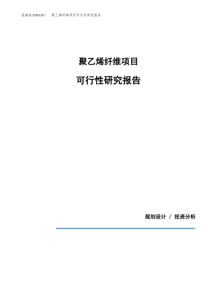聚乙烯纤维项目可行性研究报告[参考范文].docx_第1页