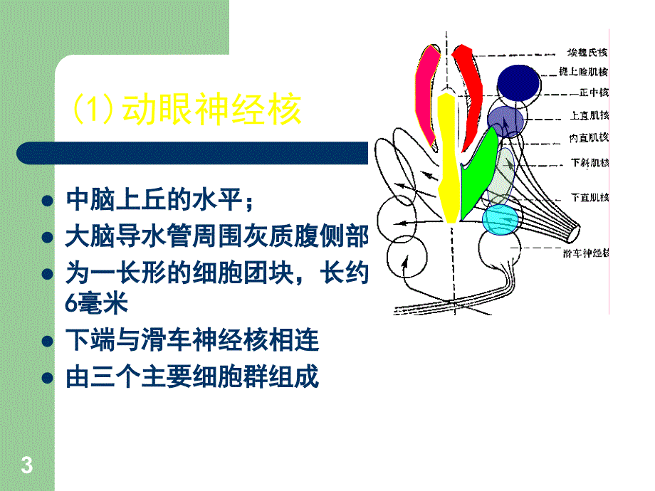 视觉障碍解剖和定位诊断_第4页