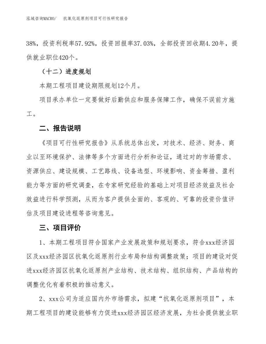 抗氧化返原剂项目可行性研究报告[参考范文].docx_第5页