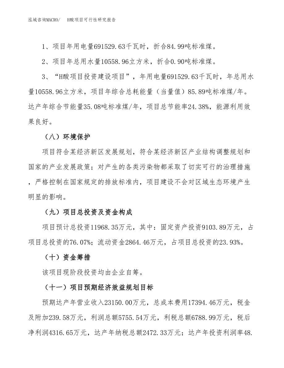 H酸项目可行性研究报告[参考范文].docx_第5页