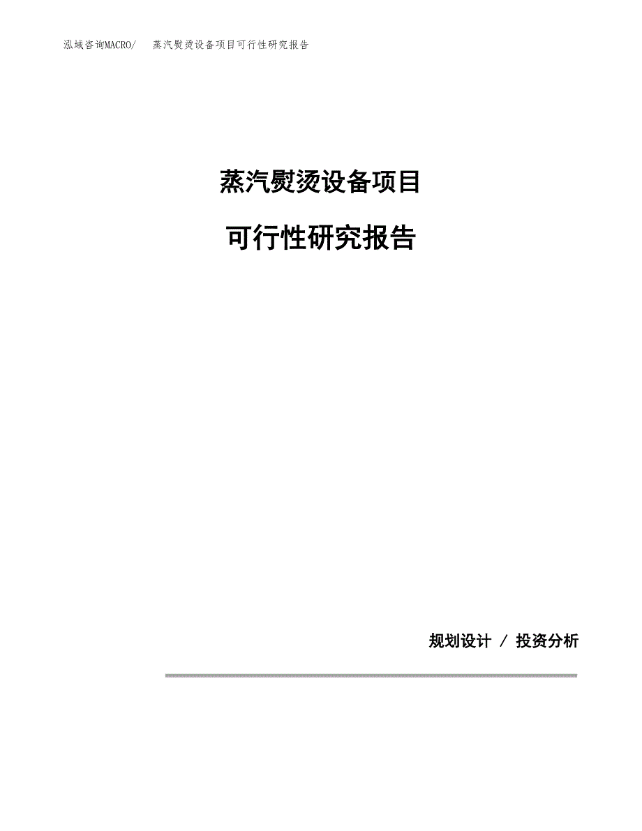 蒸汽熨烫设备项目可行性研究报告[参考范文].docx_第1页