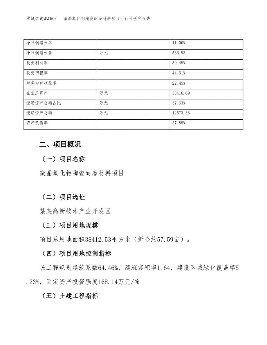 微晶氧化铝陶瓷耐磨材料项目可行性研究报告_范文.docx_第5页