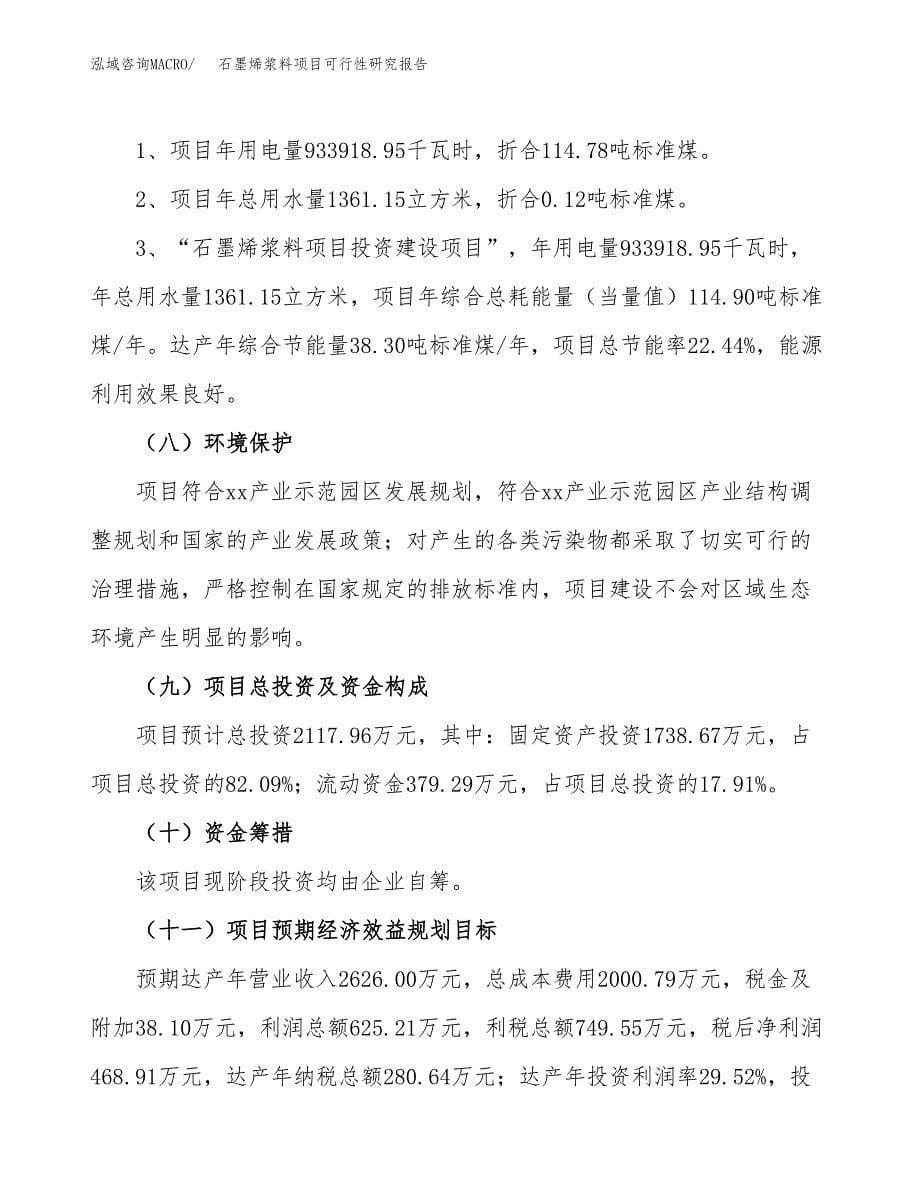 石墨烯浆料项目可行性研究报告[参考范文].docx_第5页