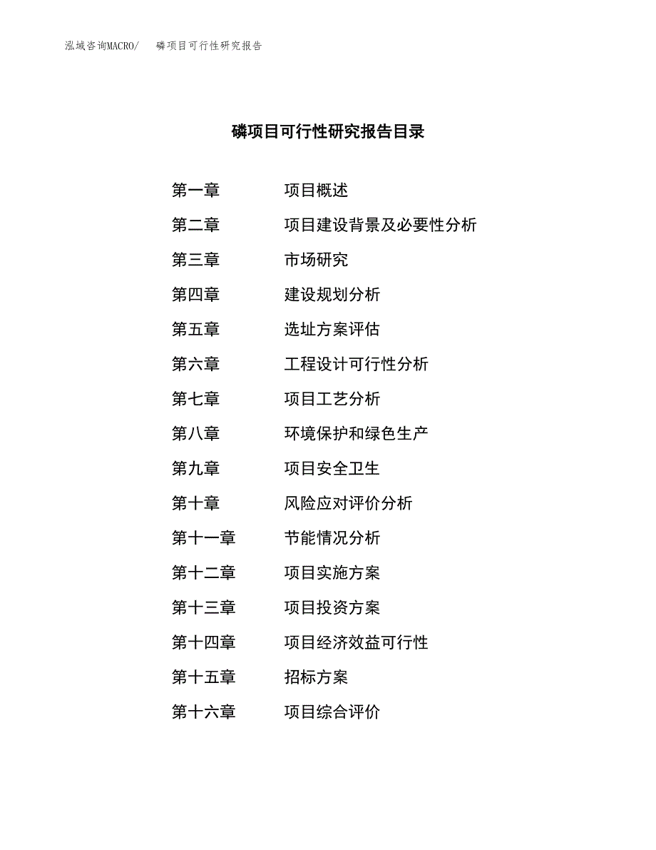 磷项目可行性研究报告_范文.docx_第2页