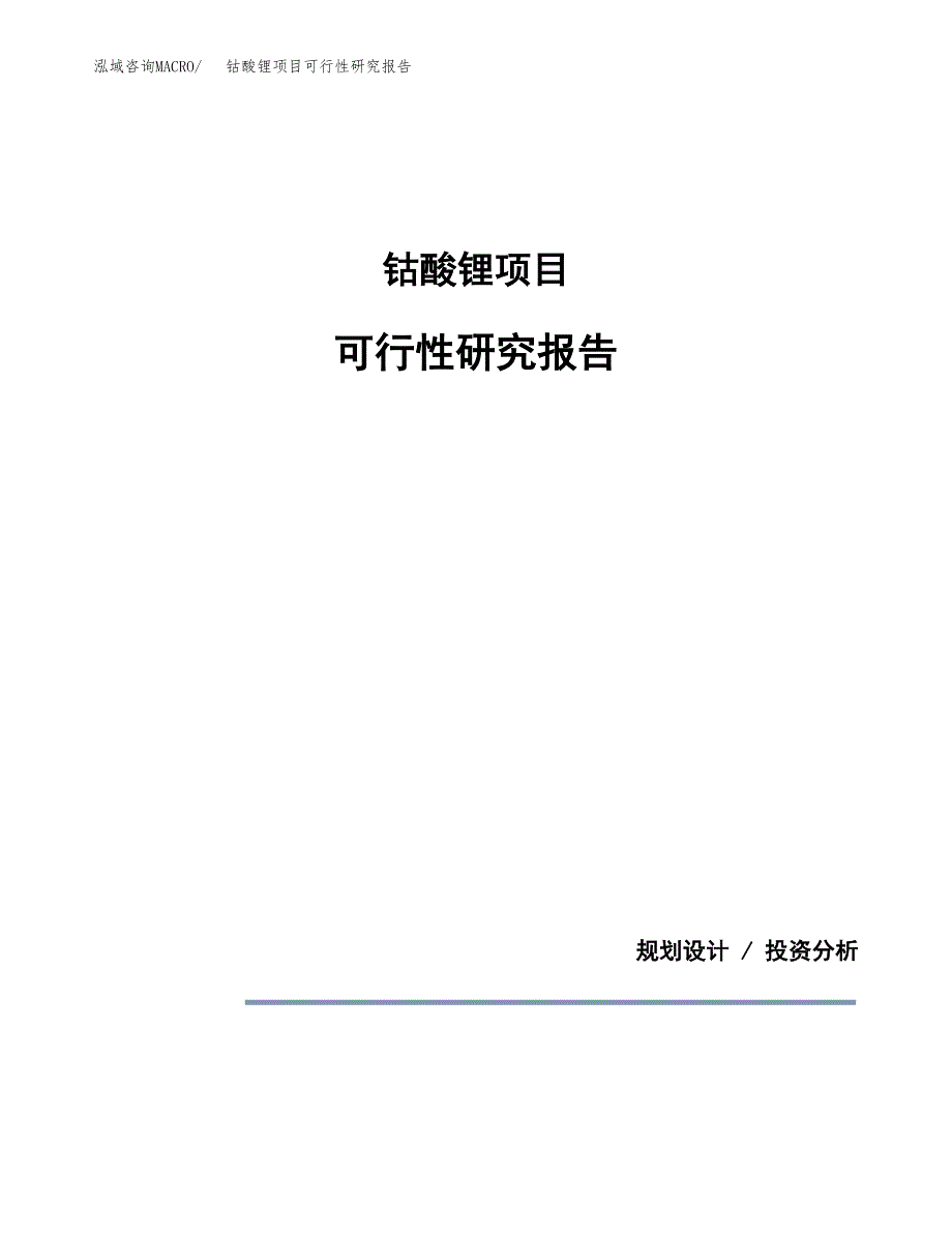 钴酸锂项目可行性研究报告[参考范文].docx_第1页