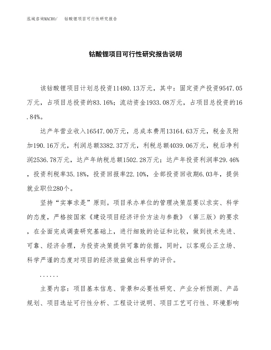 钴酸锂项目可行性研究报告[参考范文].docx_第2页