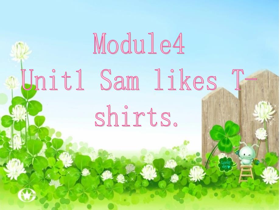 外研版小学二年级英语上册module4  sam likes t-shirts课件_第1页