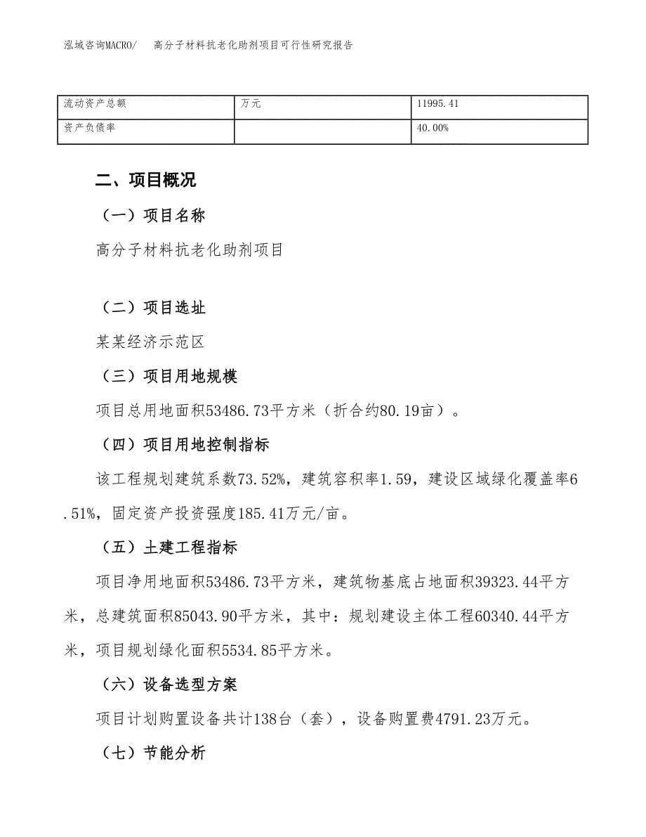 高分子材料抗老化助剂项目可行性研究报告_范文.docx_第5页