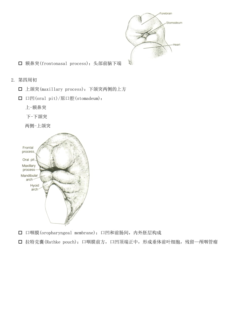 3 面部发育.doc_第3页