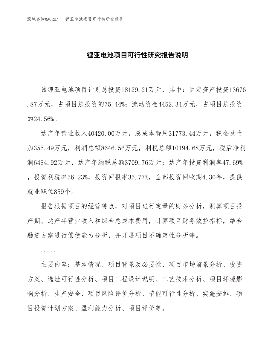 锂亚电池项目可行性研究报告[参考范文].docx_第2页