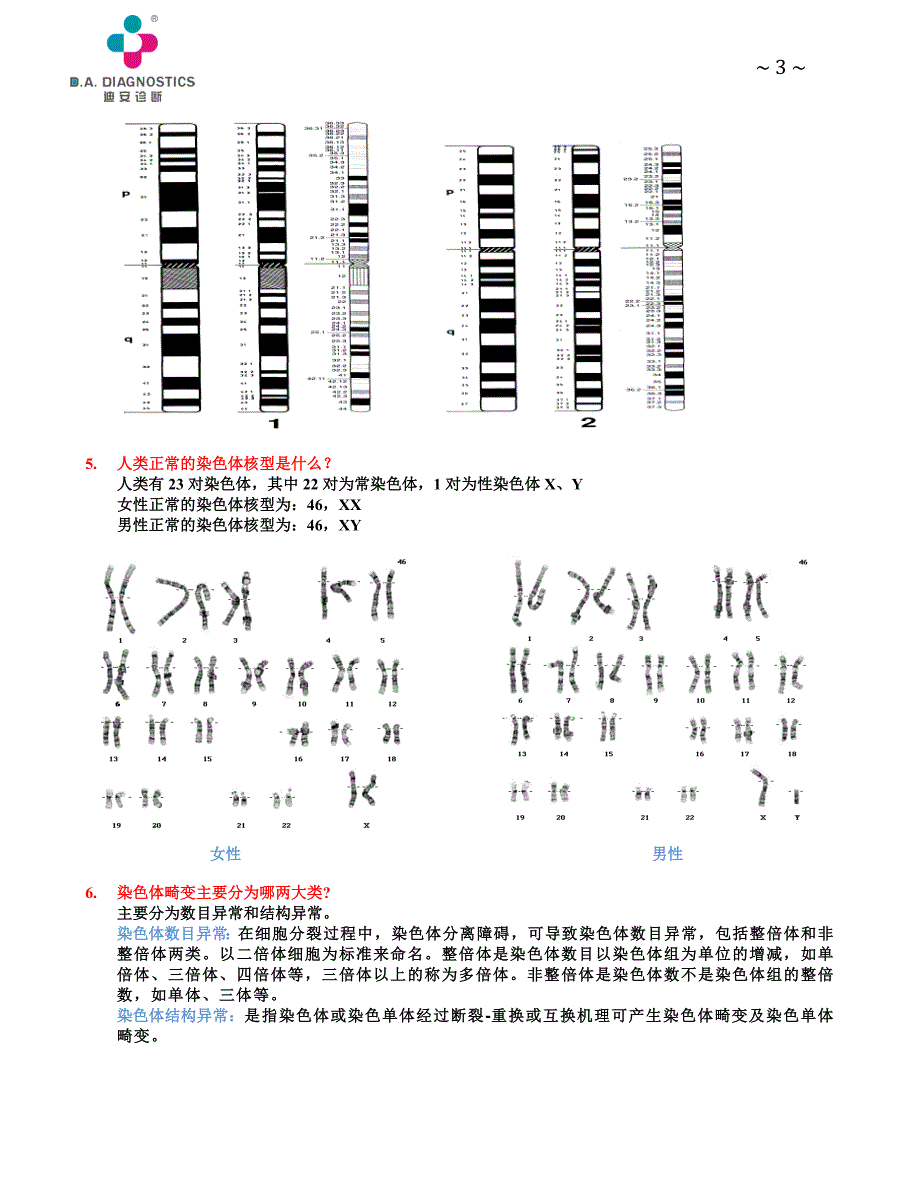 染色体常识_第3页