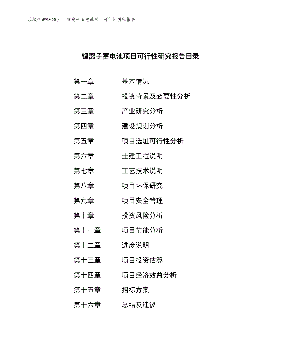 锂离子蓄电池项目可行性研究报告_范文.docx_第2页