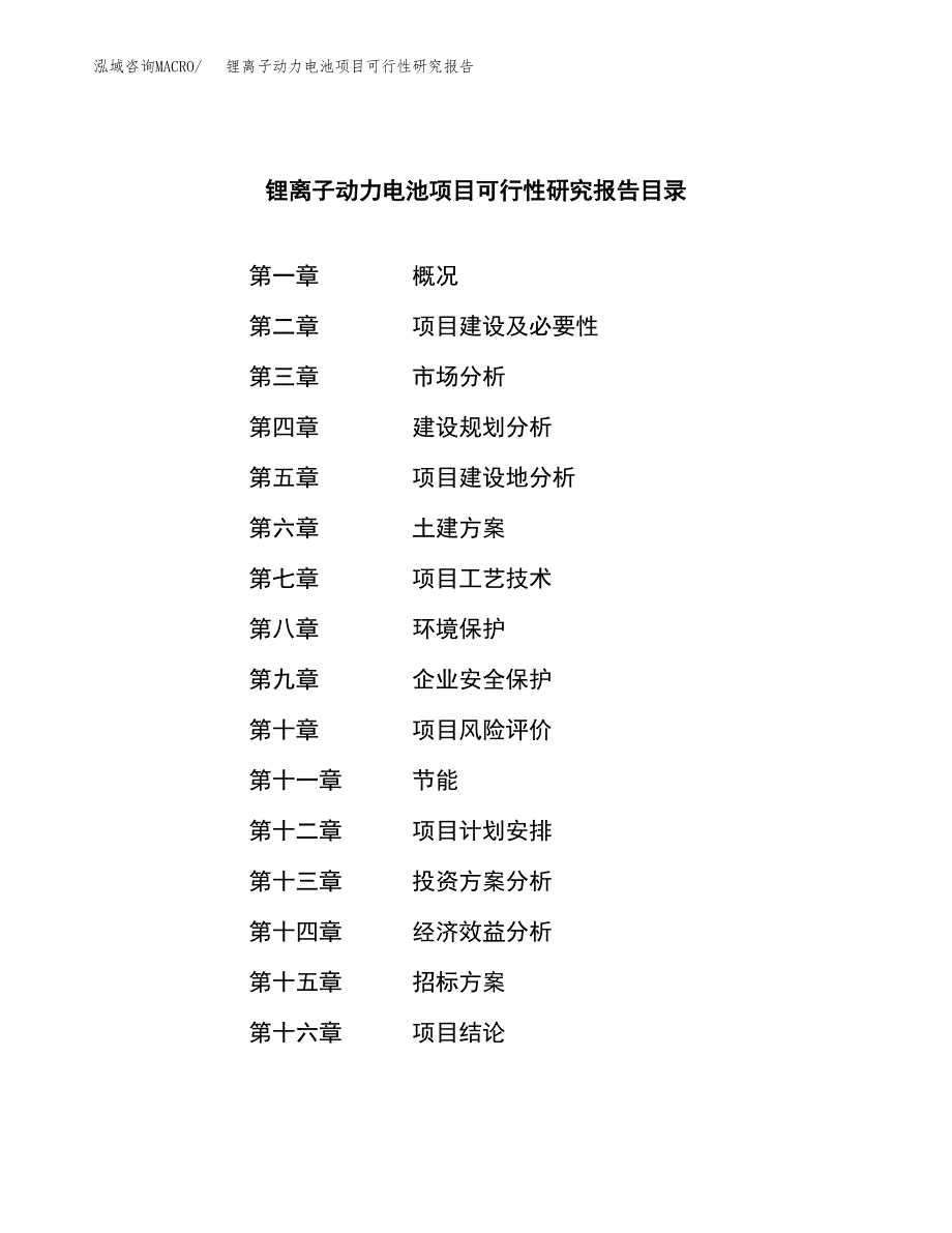 锂离子动力电池项目可行性研究报告_范文.docx_第2页