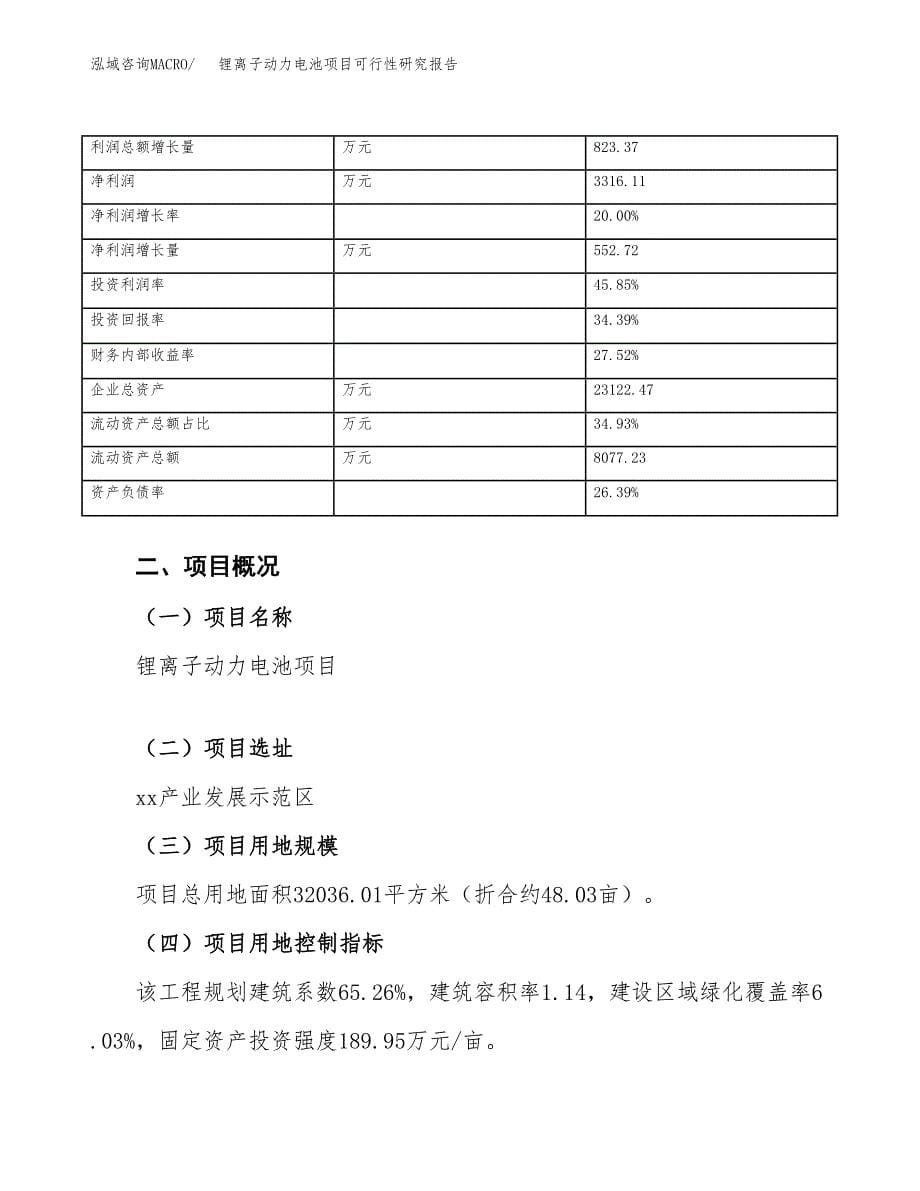 锂离子动力电池项目可行性研究报告_范文.docx_第5页