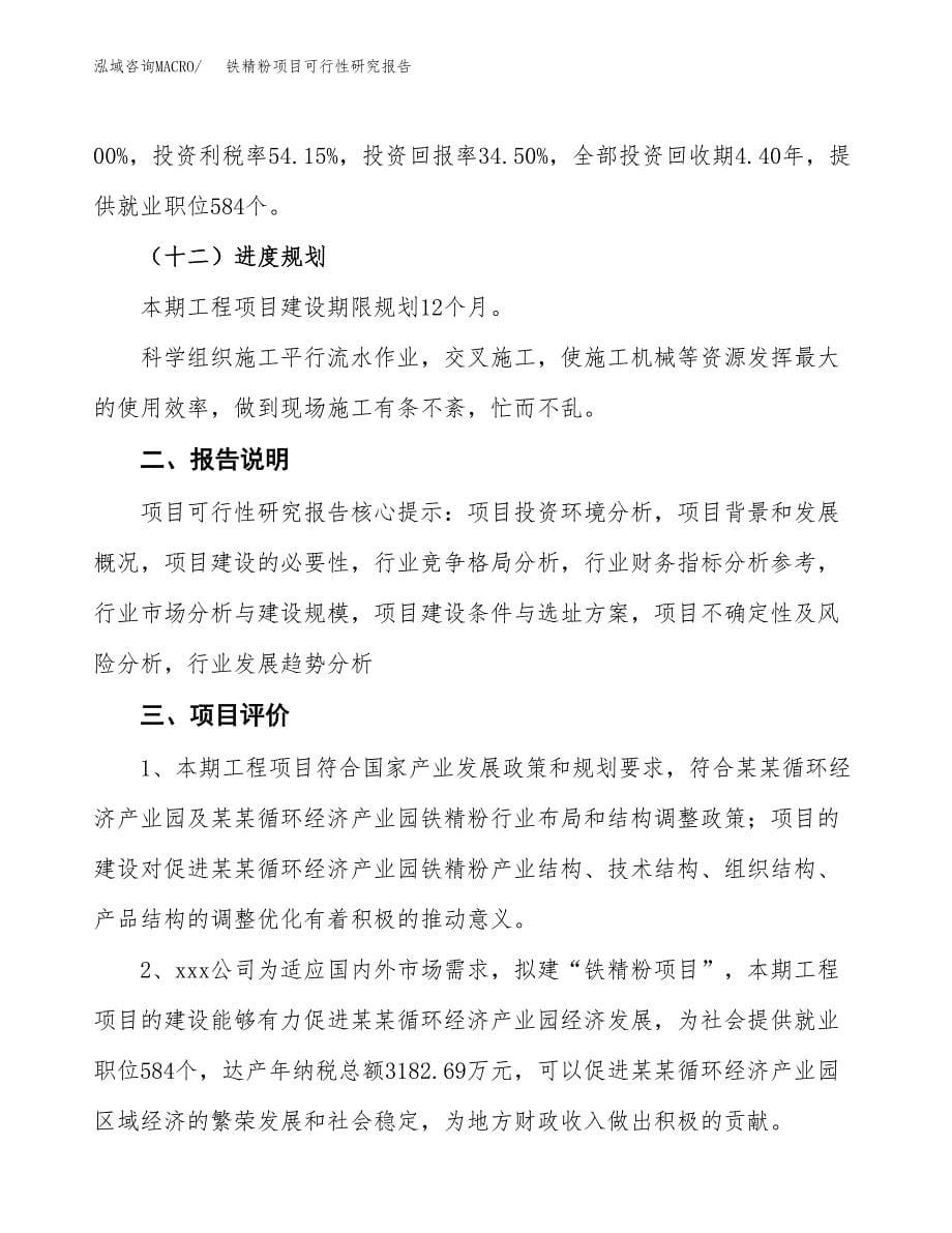 铁精粉项目可行性研究报告[参考范文].docx_第5页