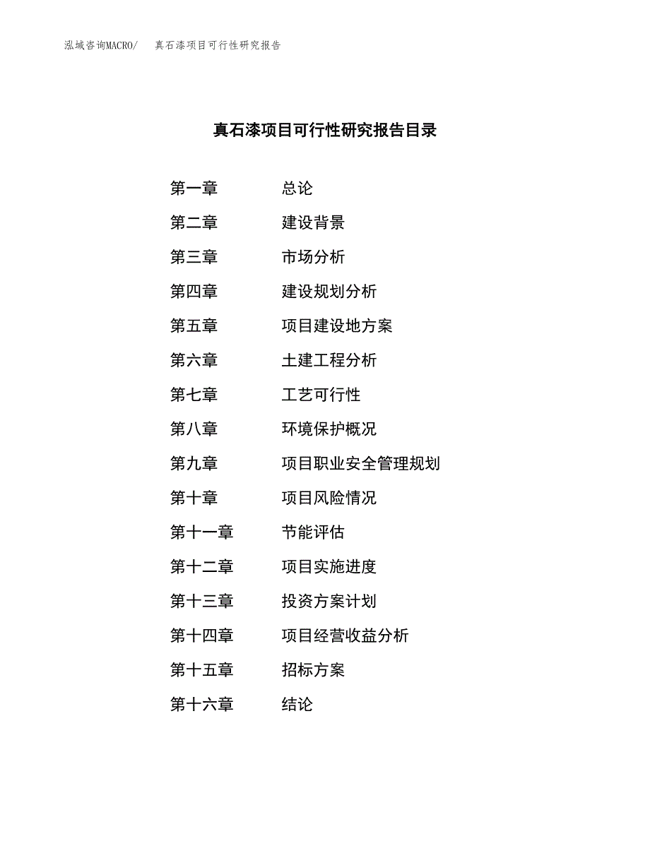 真石漆项目可行性研究报告_范文.docx_第2页