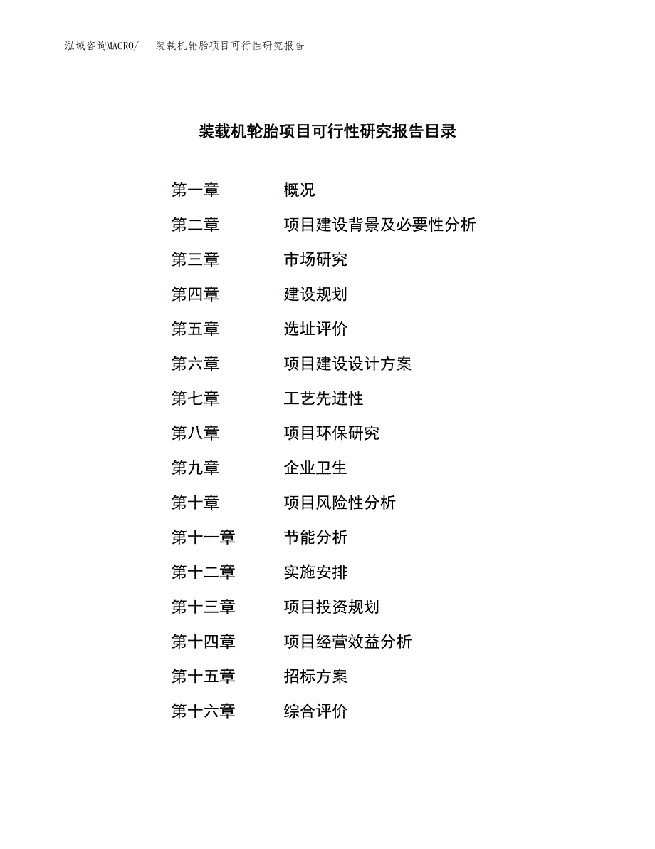 装载机轮胎项目可行性研究报告_范文.docx_第2页