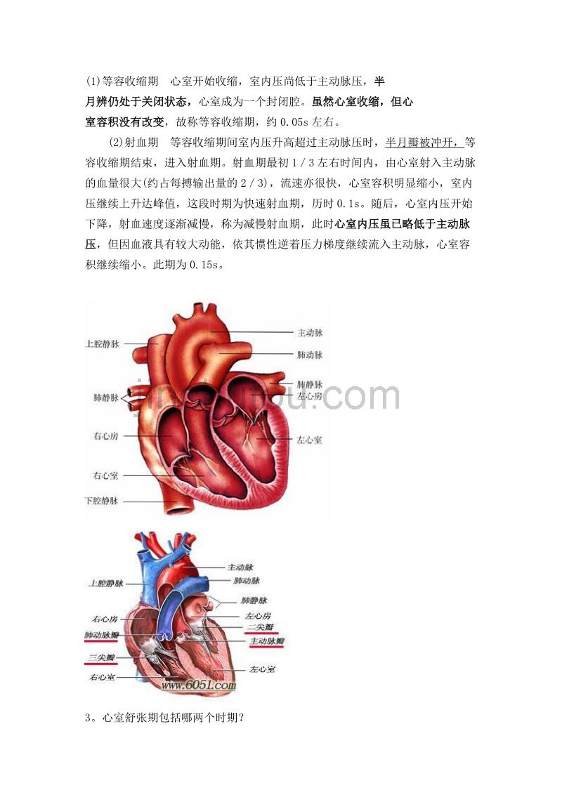 血液循环图片版_第2页